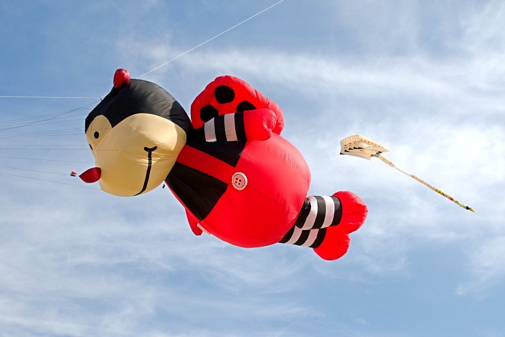 Cerfs-Volants vliegerfestival festival festiviteit evenement event berck sur mer vlieger speelgoed strand